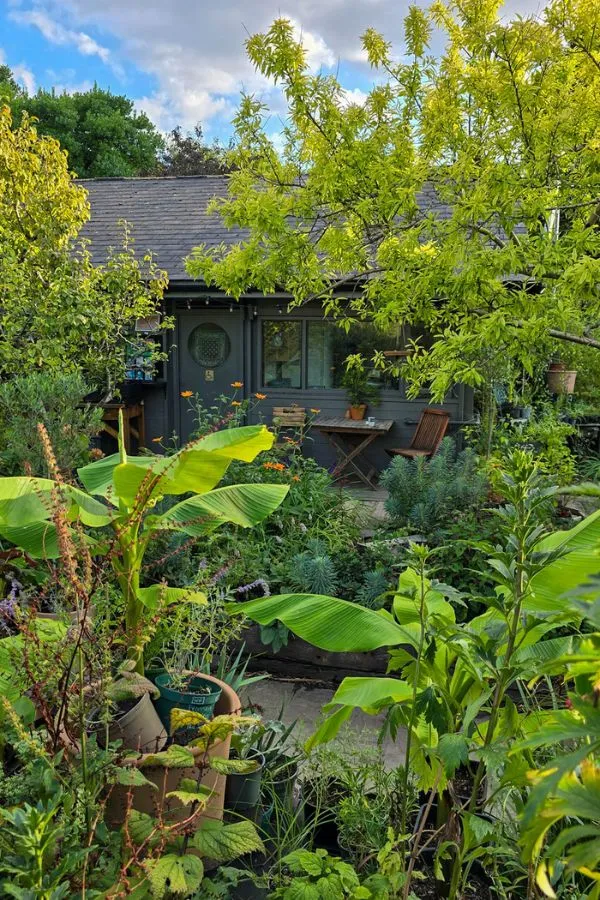 Eco-friendly garden design – what you need to know before you spend money