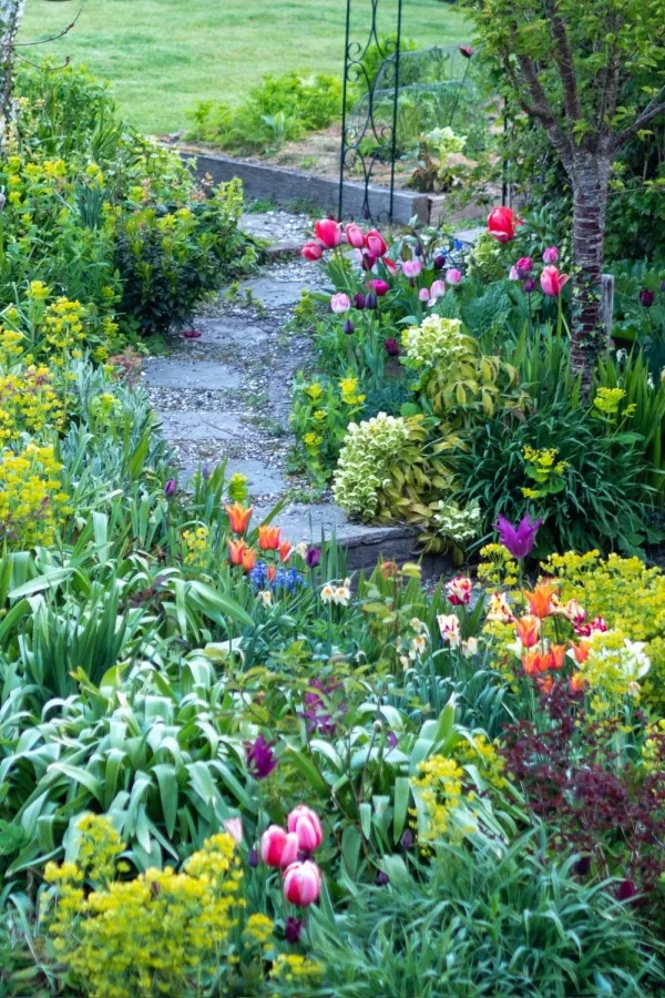 Feeling overwhelmed by your garden? 11 easy, practical solutions