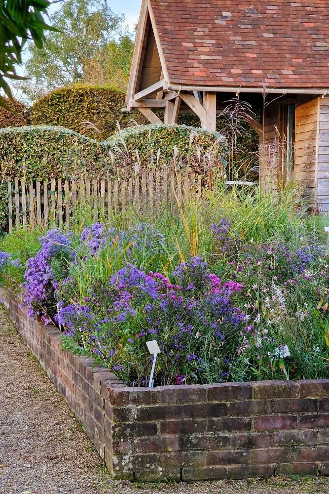 The very best time to plant perennials + top tips on filling a gap in your border