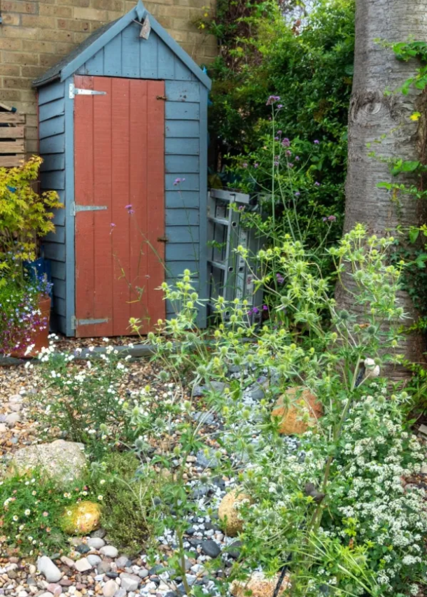 North facing garden tips – how to make the most of your space