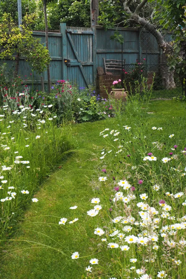 How to create a beautiful mini meadow garden