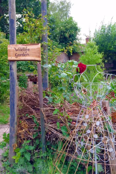 What makes a good wildlife garden?