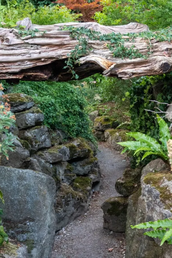 The rock garden is back – and it’s drought tolerant and low maintenance