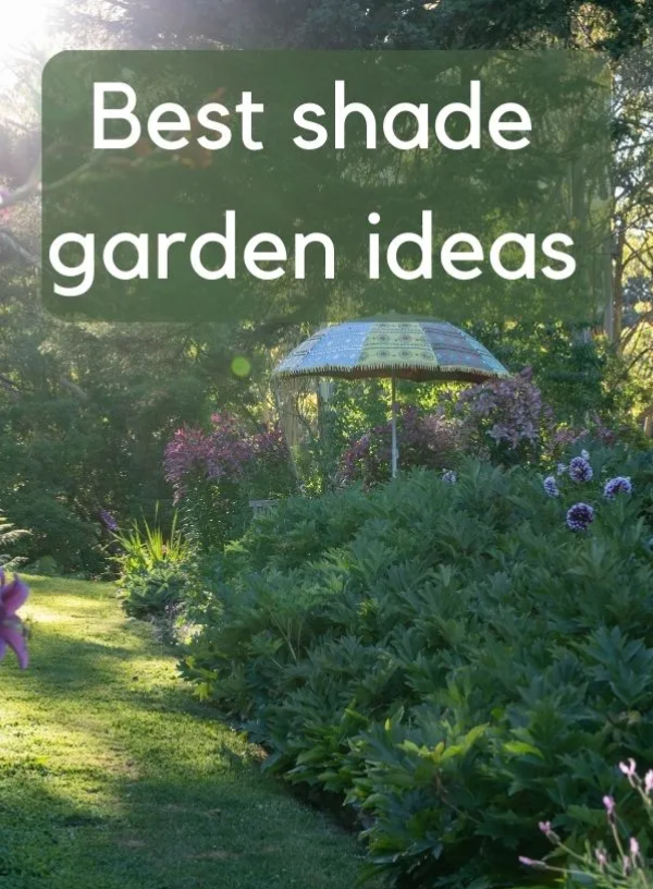 Shade gardening – how to choose perfect shady garden plants