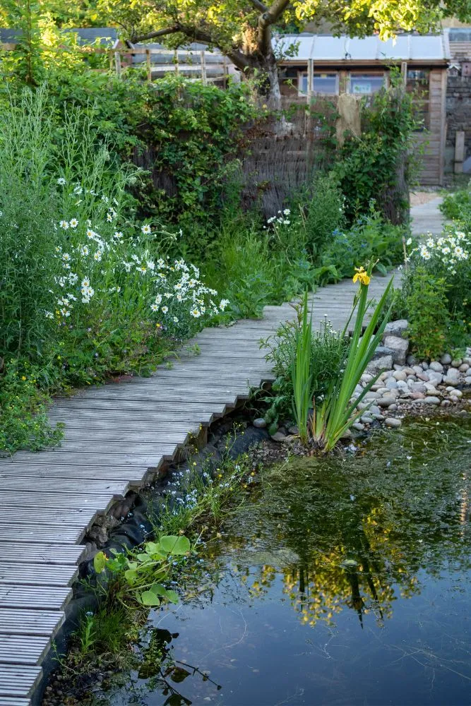 A small wildlife garden for towns and cities – and it’s really easy to maintain