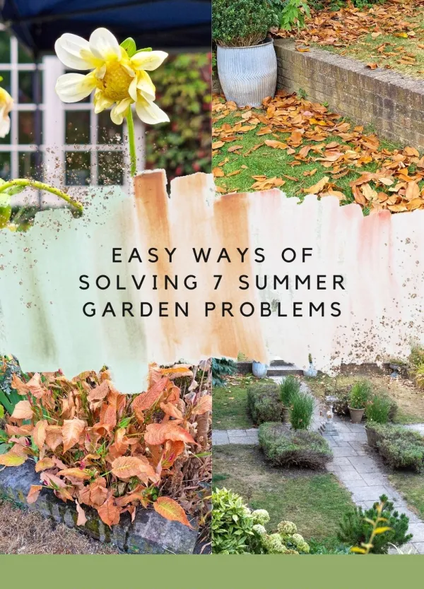 7 summer garden problems and what to do about them