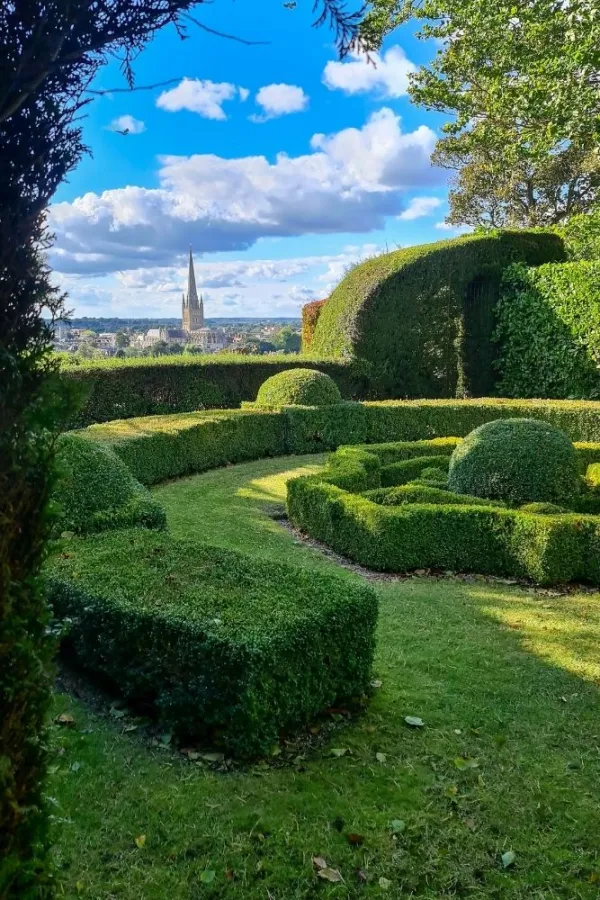 A clever evergreen garden with a touch of grandeur