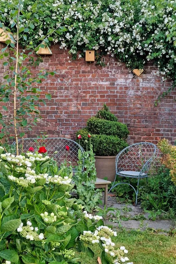 10 simple ideas for neglected or difficult garden areas