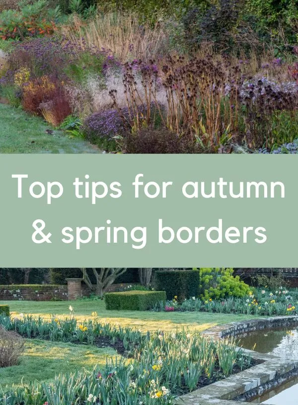 Brilliant border maintenance – what to do now for next summer’s success