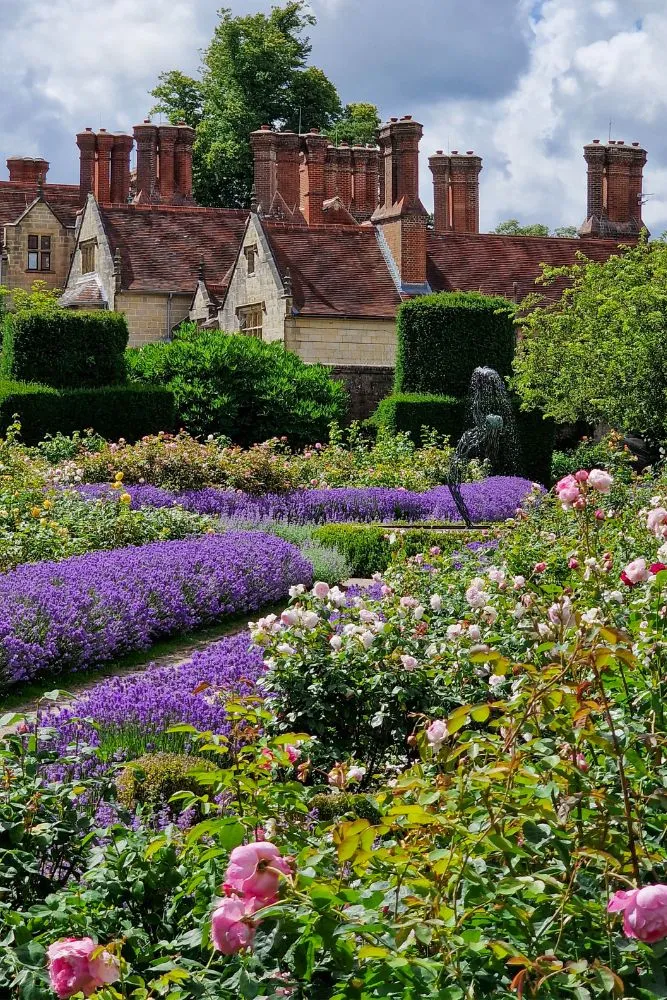 Dying plants in your garden? Top tips on how to save them from the summer weather.