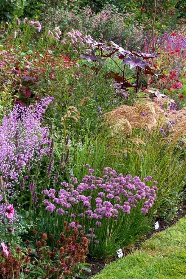 Brilliant garden border inspiration – how to choose colours, shapes & structure