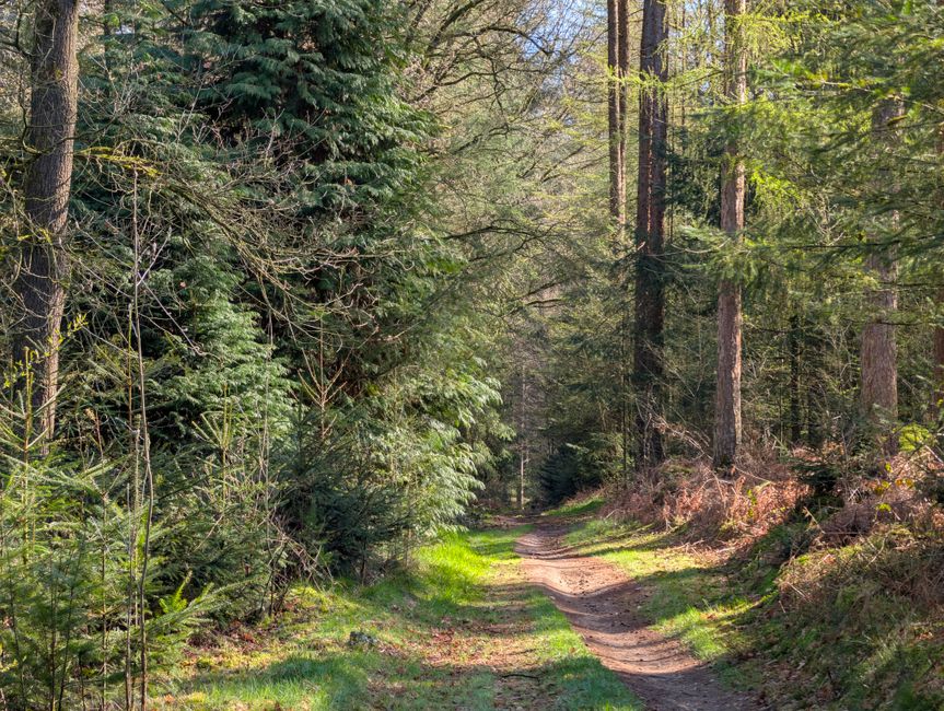 March Hiking Day Walks in Europe Before Dusk