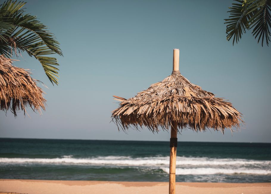 Serene beach scene in Gangwon-do, South Korea with straw umbrellas and palm leaves.