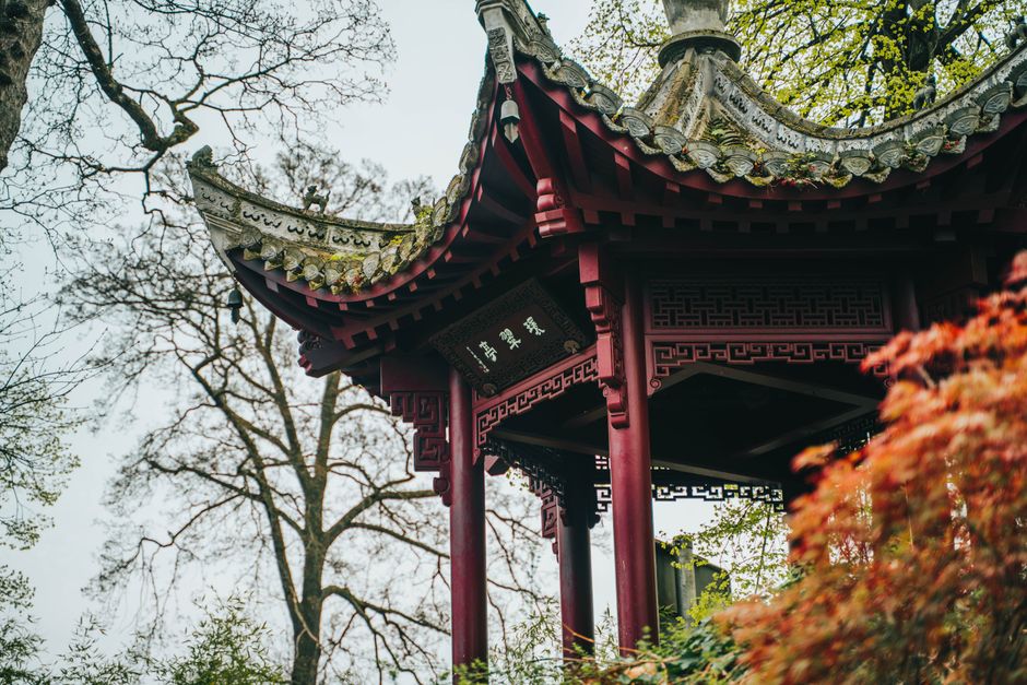 Elegant Chinese pagoda amidst vibrant foliage, symbolizing cultural heritage and tranquility.