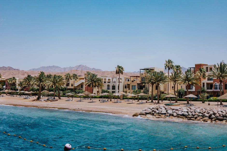 Scenic view of palm-lined beach and resort in Aqaba, Jordan on a sunny day.