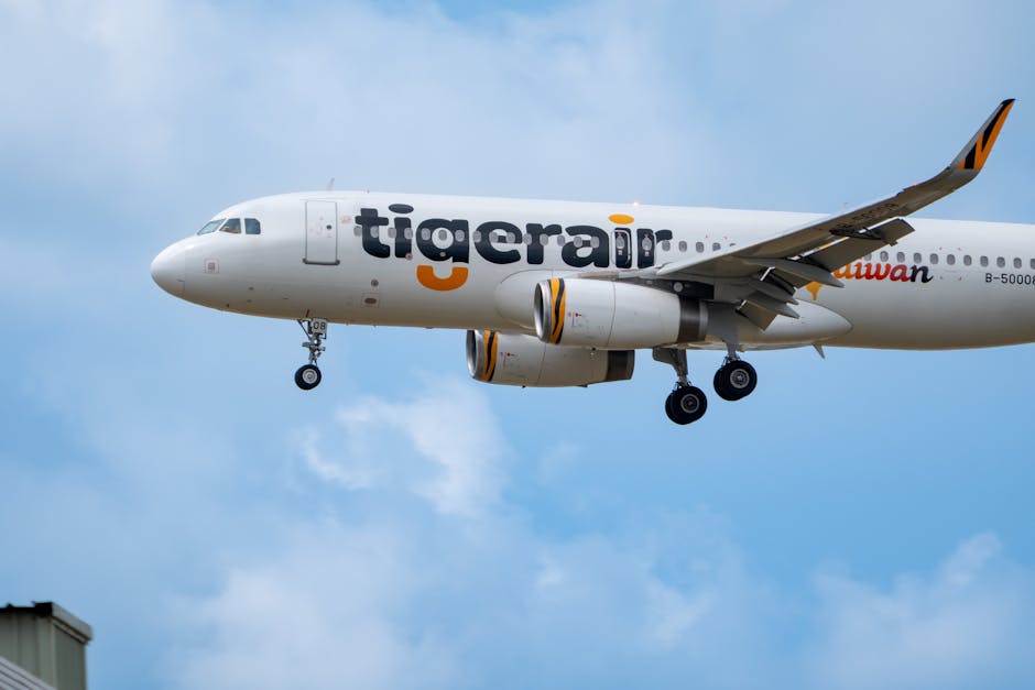 Tigerair's Airbus A320 aircraft captured mid-air during landing approach on a clear day.