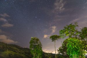 Costa Rica Eco-Lodges 2026: Costa Rica Eco-Lodges That Actually Deliver (2026 Pricing & Reviews)