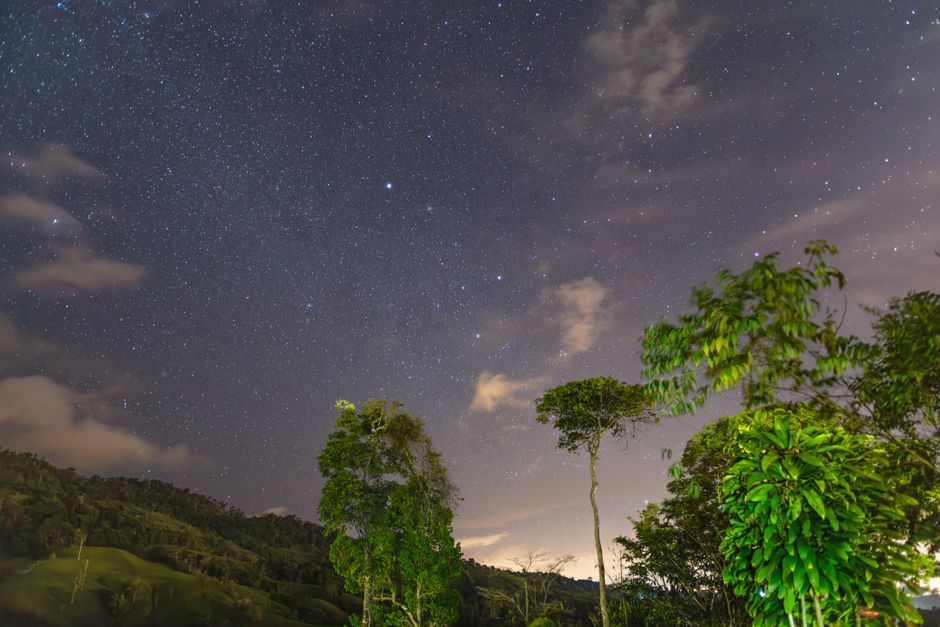Costa Rica Eco-Lodges 2026: Costa Rica Eco-Lodges That Actually Deliver (2026 Pricing & Reviews)
