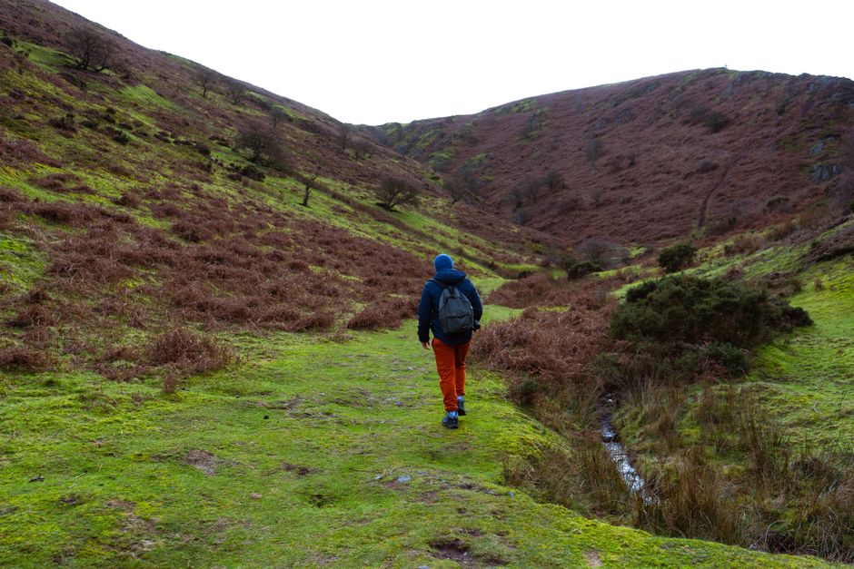 A lone hiker traversing a picturesque valley with lush greenery and hills, capturing the essence of adventure.