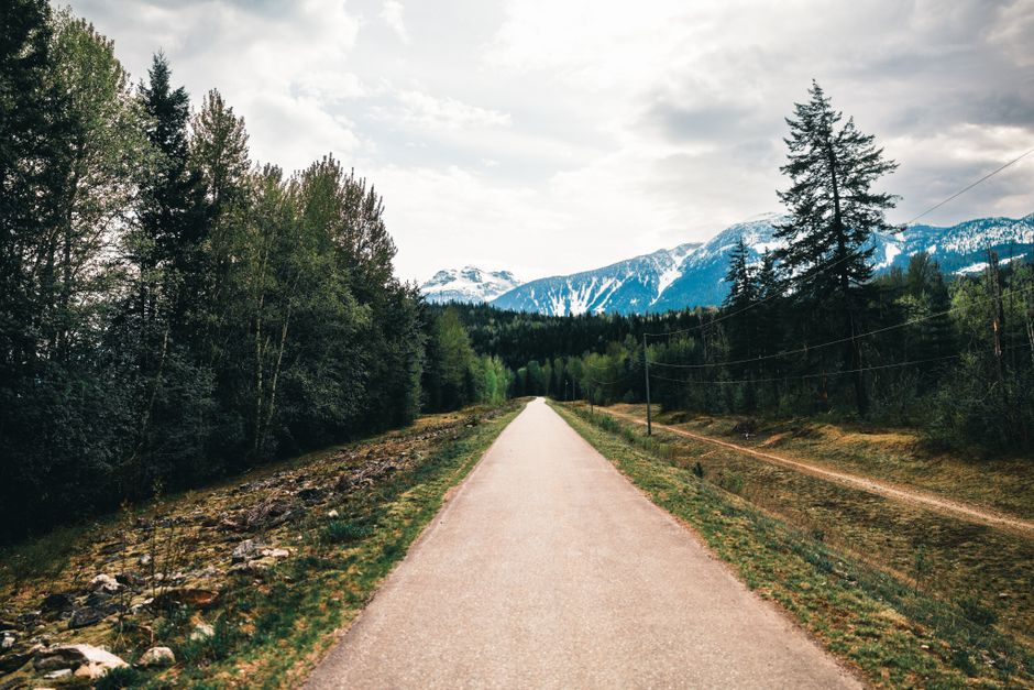 Discover the serene beauty of a forest path in Revelstoke, British Columbia.