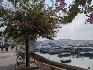 A guide to visiting Hong Kong’s outlying islands and the Star Ferry