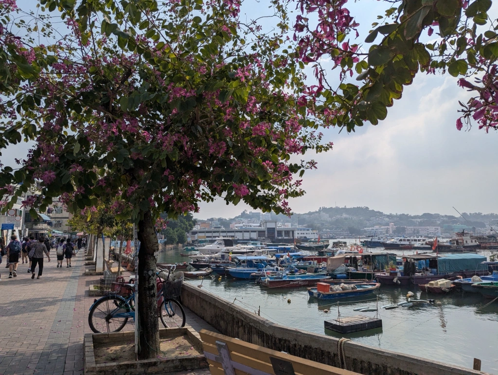 A guide to visiting Hong Kong’s outlying islands and the Star Ferry