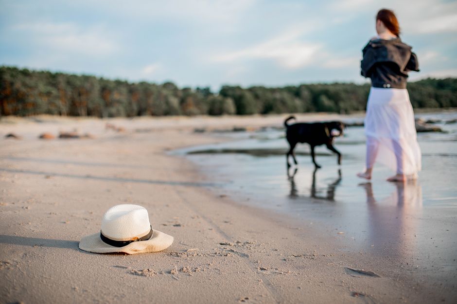 A tranquil scene of a woman walking her dog on a sandy beach during sunset.