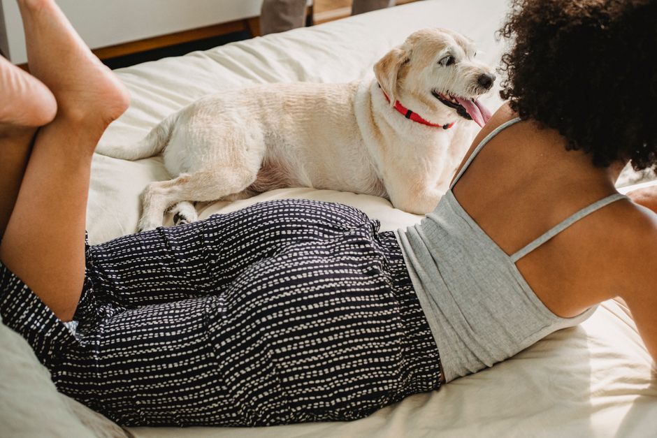 From above of crop calm black female with curly hair in casual clothes lying with raised legs on comfortable bed while resting at home in daytime