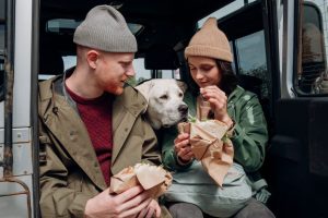 Pet-Friendly Road Trip Accommodations 2026: Road Tripping with a Dog in 2026: Decode Hotel Pet Policies Before You Book