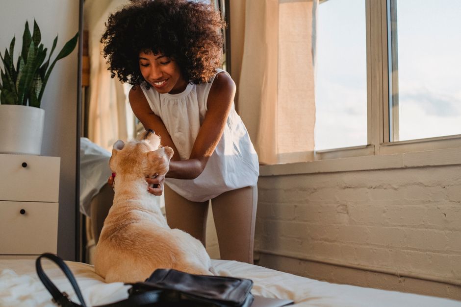 Happy African American female in casual clothes smiling while playing with puppy in modern apartment