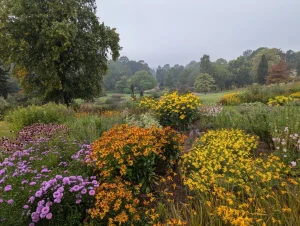 Autumn at RHS Harlow Carr Garden