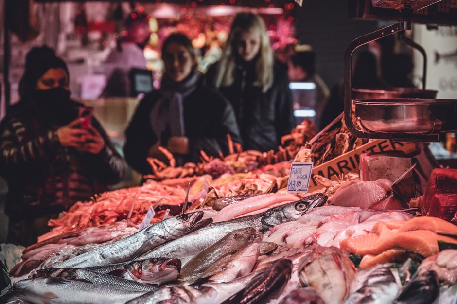 Rome Food Tour Worth The Price: Is a Food Tour in Rome Worth the Price for Authentic Experiences?
