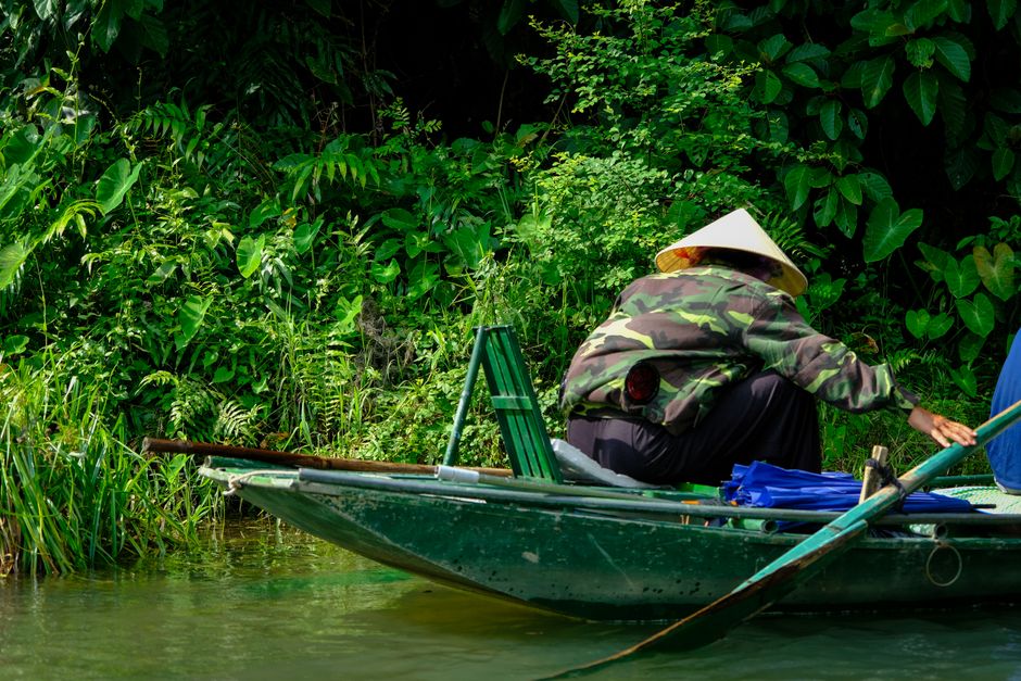 A local navigates a traditional boat through lush greenery in Ninh Binh, Vietnam.