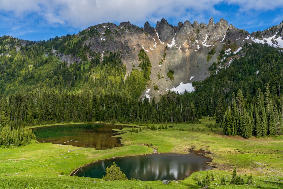 Pacific Crest Trail: What No One Tells First-Time Hikers