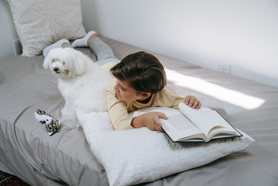 A young boy reading a book beside a Maltese dog on a bed, creating a cozy indoor atmosphere.