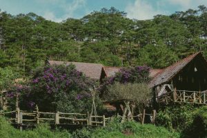 Treehouse Stays Costa Rica: 5 Unique Treehouse Stays in Costa Rica for an Unforgettable Getaway