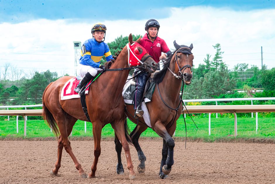 Two jockeys riding horses during a race, showcasing speed and competition on a bright day.